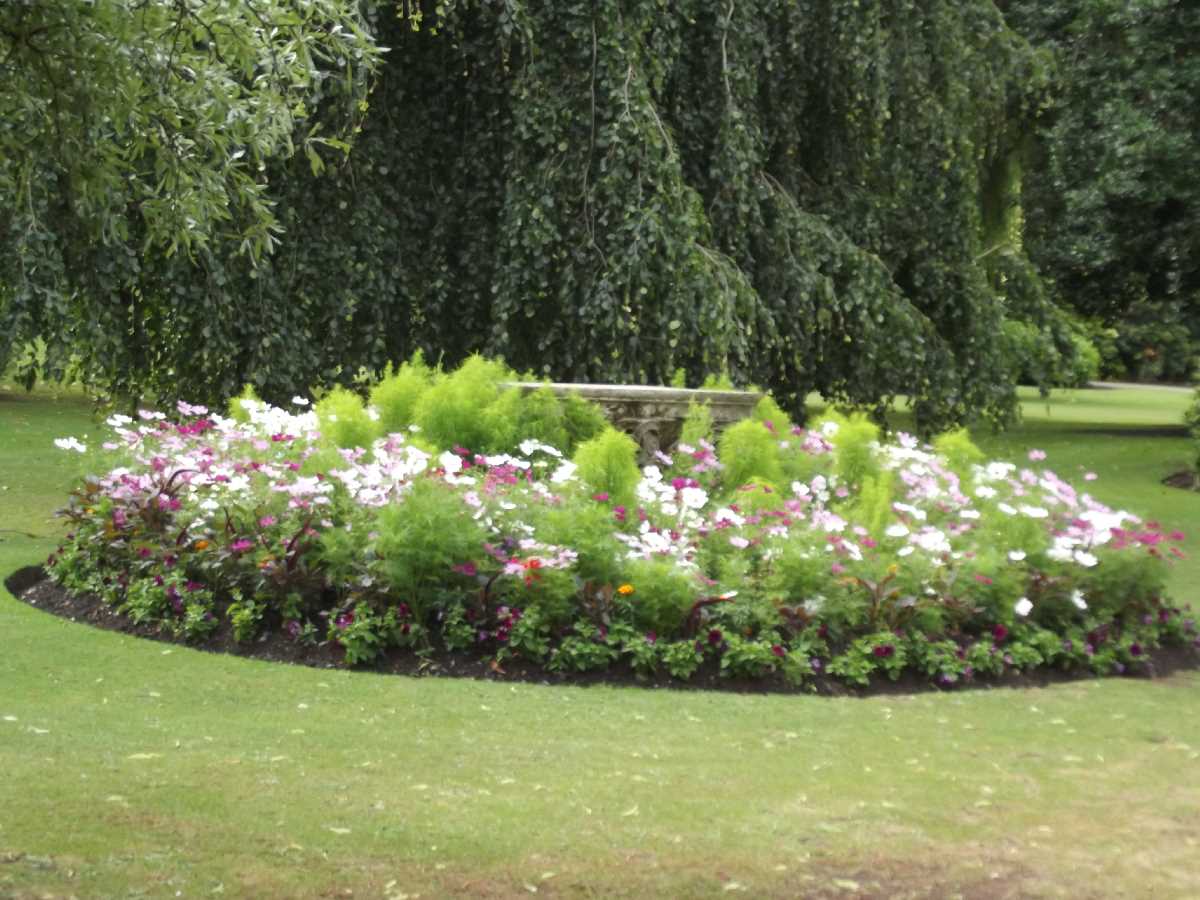 Cannon Hill Park flower beds (July 2013)